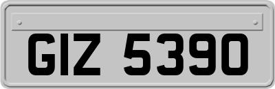 GIZ5390