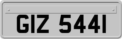 GIZ5441