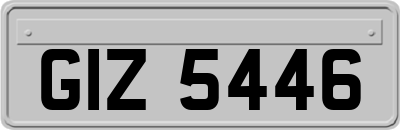 GIZ5446
