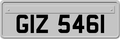 GIZ5461
