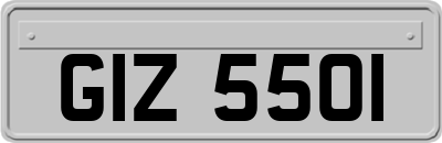 GIZ5501