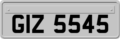 GIZ5545