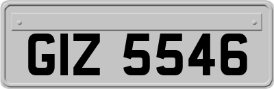 GIZ5546