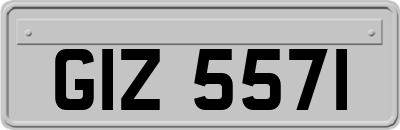 GIZ5571
