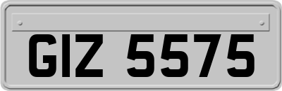 GIZ5575