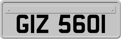 GIZ5601