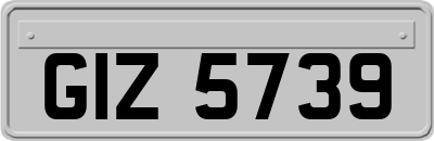 GIZ5739