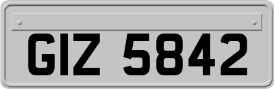 GIZ5842