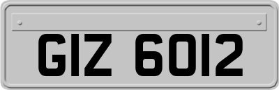 GIZ6012