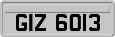GIZ6013