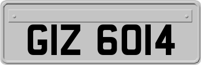 GIZ6014