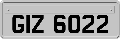 GIZ6022