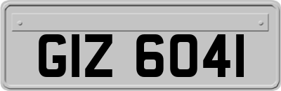 GIZ6041