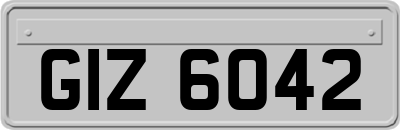 GIZ6042