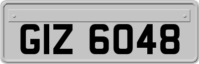 GIZ6048