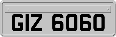 GIZ6060