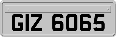 GIZ6065