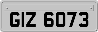 GIZ6073