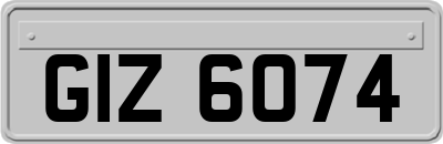 GIZ6074
