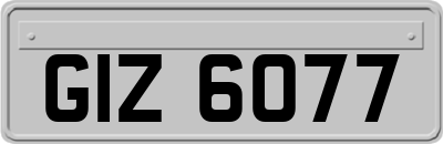 GIZ6077