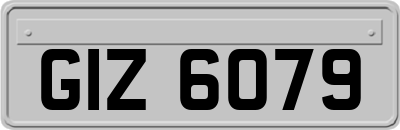 GIZ6079
