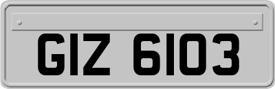GIZ6103