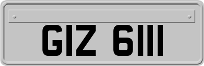 GIZ6111