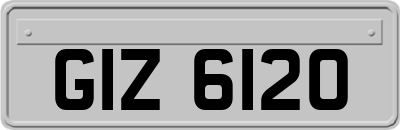 GIZ6120