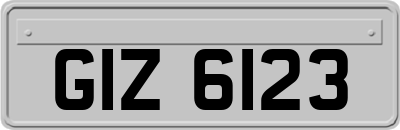 GIZ6123