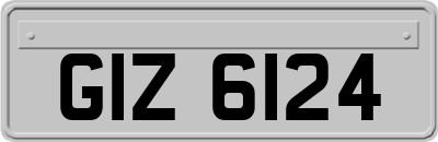 GIZ6124