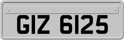 GIZ6125