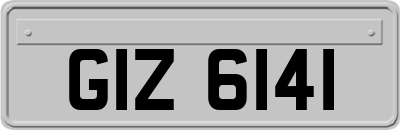 GIZ6141