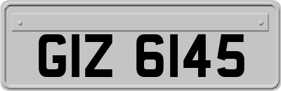 GIZ6145