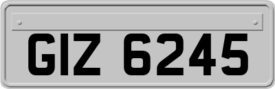GIZ6245