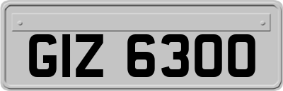 GIZ6300