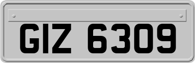 GIZ6309