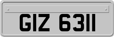 GIZ6311