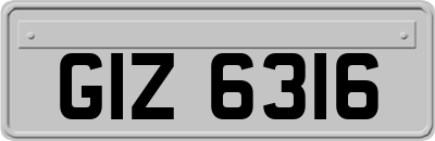 GIZ6316