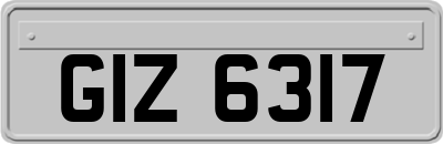 GIZ6317