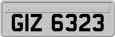 GIZ6323
