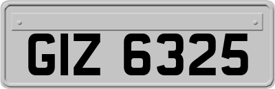 GIZ6325