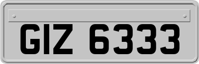 GIZ6333