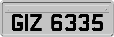 GIZ6335