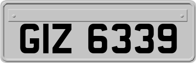 GIZ6339