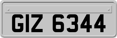 GIZ6344