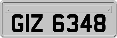 GIZ6348