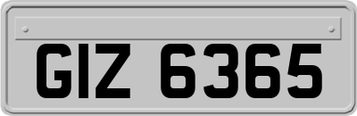 GIZ6365