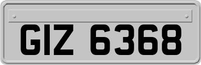 GIZ6368
