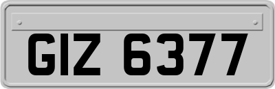 GIZ6377