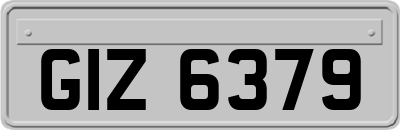 GIZ6379